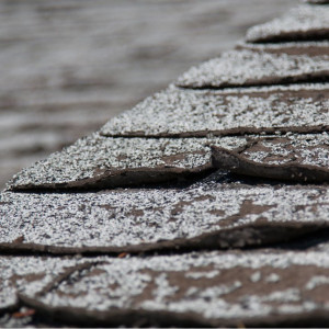 Aging Signs In Roof Shingles