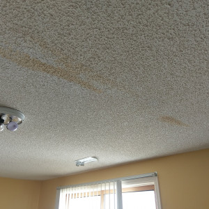Area of Damage
