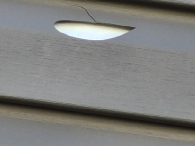 Hail Damaged Siding