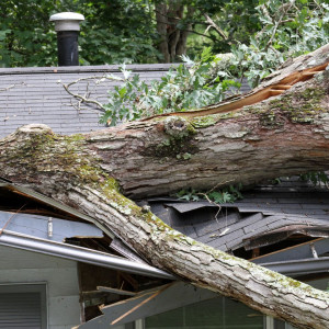 Reliable Contractor After Storm Damage
